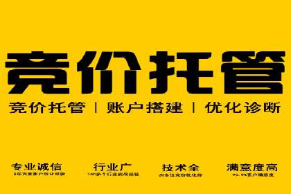 成功案例：SEM竞价代运营助力品牌崛起
